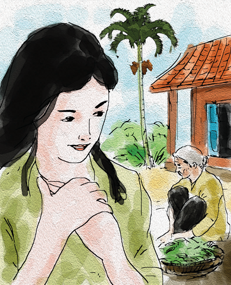 Cây nguyệt quế mẹ trồng